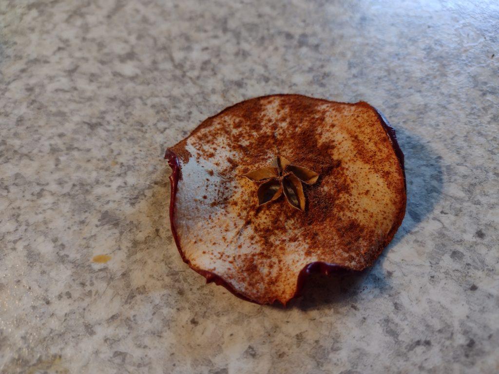 Close up of a center cut apple chip